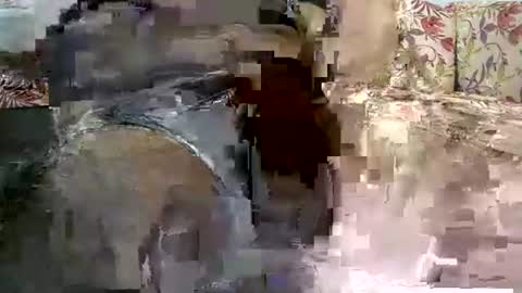 jimii281 online show from September 16, 5:05 pm