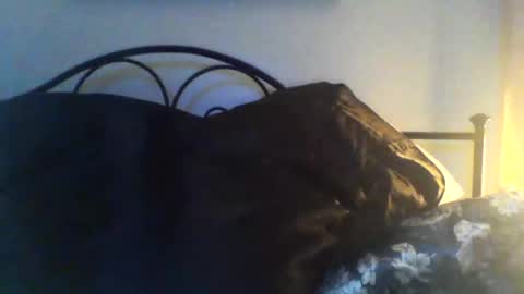 Jimz14u online show from November 24, 2:10 am