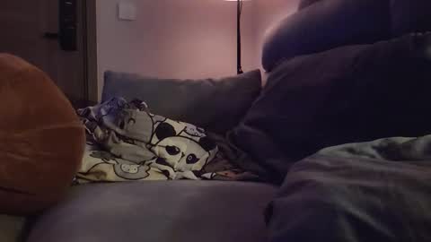 jj_jayjayq online show from February 8, 12:19 pm