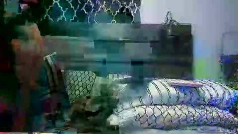 jjking973 online show from December 15, 11:45 pm