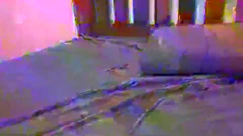 tip me online show from February 17, 10:29 am