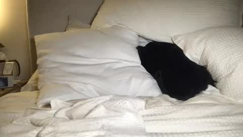 MIKE online show from February 5, 6:35 am