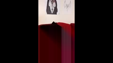 joeborrowman7 online show from February 28, 5:28 pm