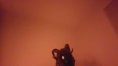 johnnyadepth online show from October 15, 8:15 am