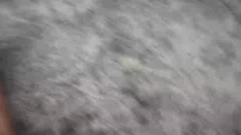 Johnny online show from December 21, 1:58 am