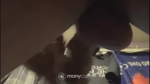 Snapshot of johnnyshung1 chatting on February 2, 8:45 am johnnyshung1 online show from February 2, 8:45 am