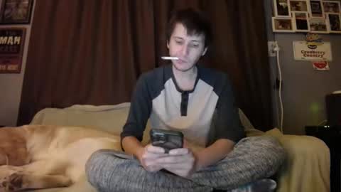 Johston online show from December 8, 7:26 am