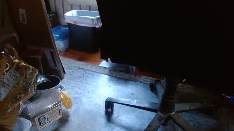 joncpics online show from November 6, 8:23 pm