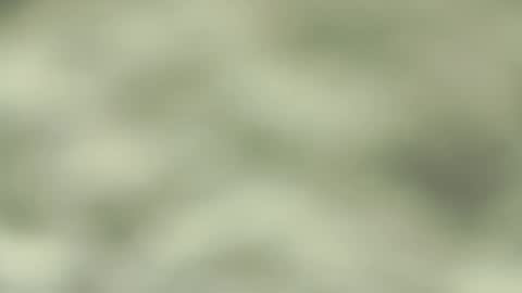 Jorge San online show from March 9, 9:36 pm