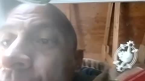 Carlos online show from December 11, 5:25 pm