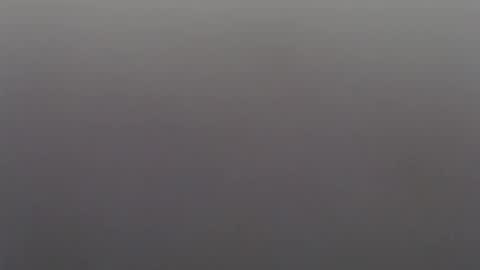 juicebabie online show from November 23, 11:08 am