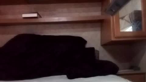 Juish5521 online show from March 3, 12:26 am