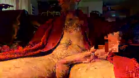 jujusbzh online show from February 23, 8:06 am