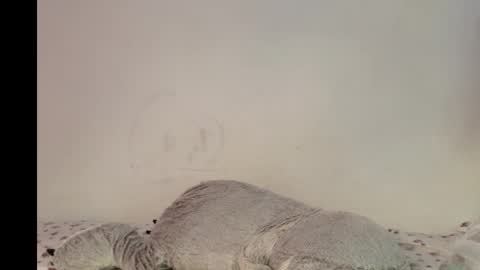 Julyana online show from October 24, 9:32 am