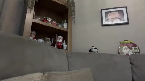 Junky online show from December 13, 7:21 pm