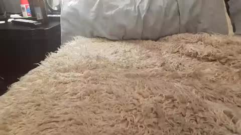 Jusme6269 online show from January 8, 1:00 am