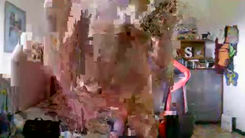 juteja online show from September 17, 8:40 am