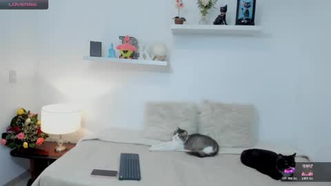 KailuaRose online show from February 23, 1:35 am