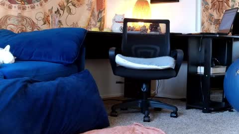 Tara Smith online show from January 30, 6:54 pm