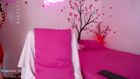 Snapshot of karolkat_1 chatting on January 28, 12:54 pm Karolina 3 online show from January 28, 12:54 pm
