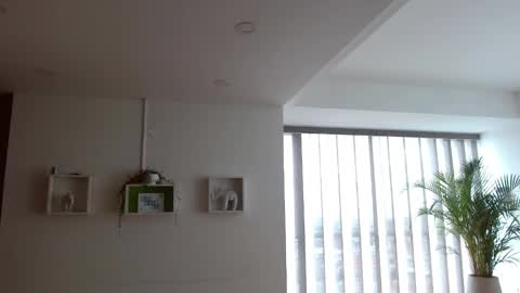 Katalina online show from November 14, 5:15 pm