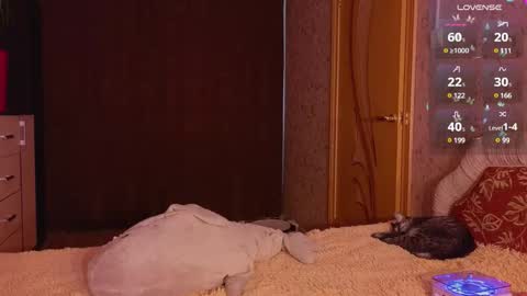 Kate online show from December 29, 1:02 am