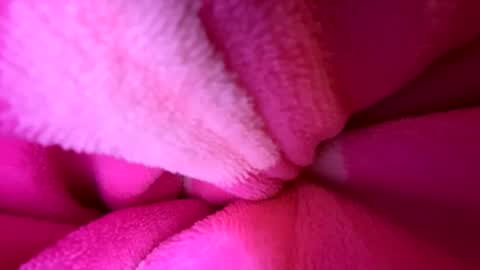 Josie live show Tuesday Wednesday and Thursday online show from November 30, 9:27 am