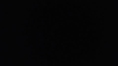 keitt online show from October 31, 8:48 am