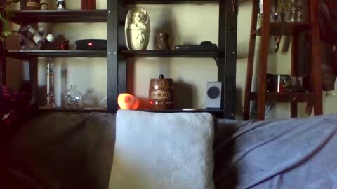 Ken Kuddles online show from January 17, 10:12 pm