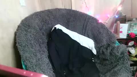 Kennedy Nova  online show from January 26, 10:24 pm