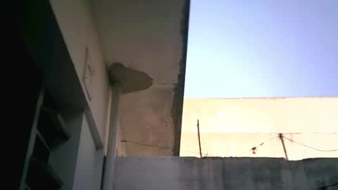 keny06 online show from February 4, 7:55 pm