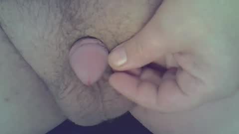 maggot online show from December 21, 3:25 am