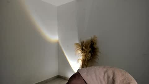 Kim Murphy online show from November 18, 12:30 pm