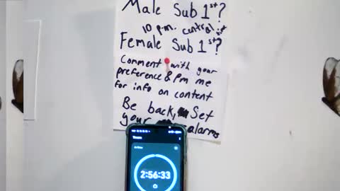 kinkyteam6969 online show from November 15, 1:07 am