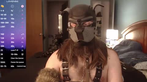 kinkywolf87 online show from March 2, 10:48 pm