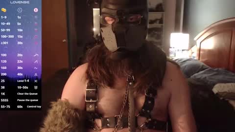 kinkywolf87 online show from February 6, 6:18 am