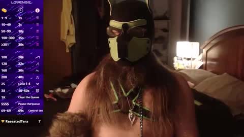 kinkywolf87 online show from December 16, 6:31 am