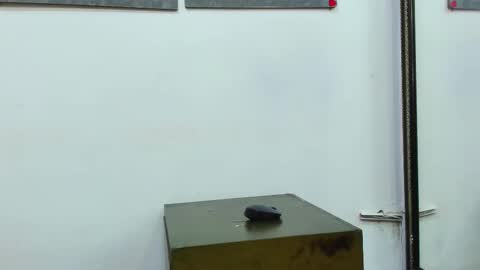 kira online show from February 27, 3:26 pm