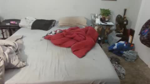 Kitten and rebellious online show from February 20, 4:58 pm