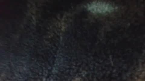 ana online show from September 16, 10:17 am