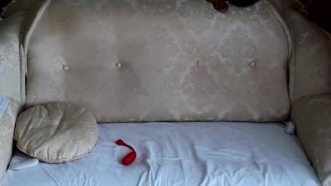 ALYONA online show from October 3, 9:17 am