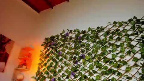 kloe_bella online show from September 13, 2:41 pm