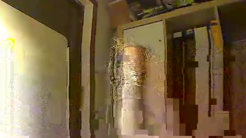 kokin3034 online show from November 14, 5:42 am