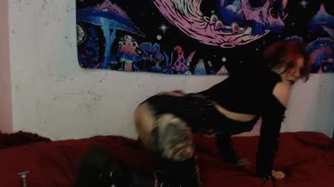 Snapshot of konekokawai chatting on February 8, 7:38 pm konekokawai online show from February 8, 7:38 pm