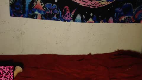 Snapshot of konekokawai chatting on February 13, 11:15 pm konekokawai online show from February 13, 11:15 pm