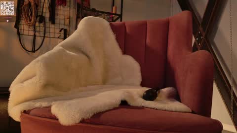 Kora       TG channel  online show from April 8, 1:36 pm