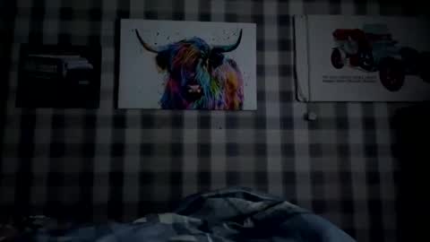 kr2465 online show from October 25, 2:34 am