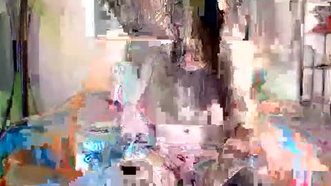 Andrea online show from November 11, 5:26 pm