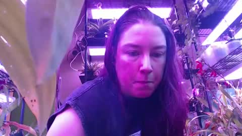 krookedorchid online show from November 1, 3:00 pm