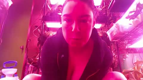 krookedorchid online show from November 30, 11:50 am